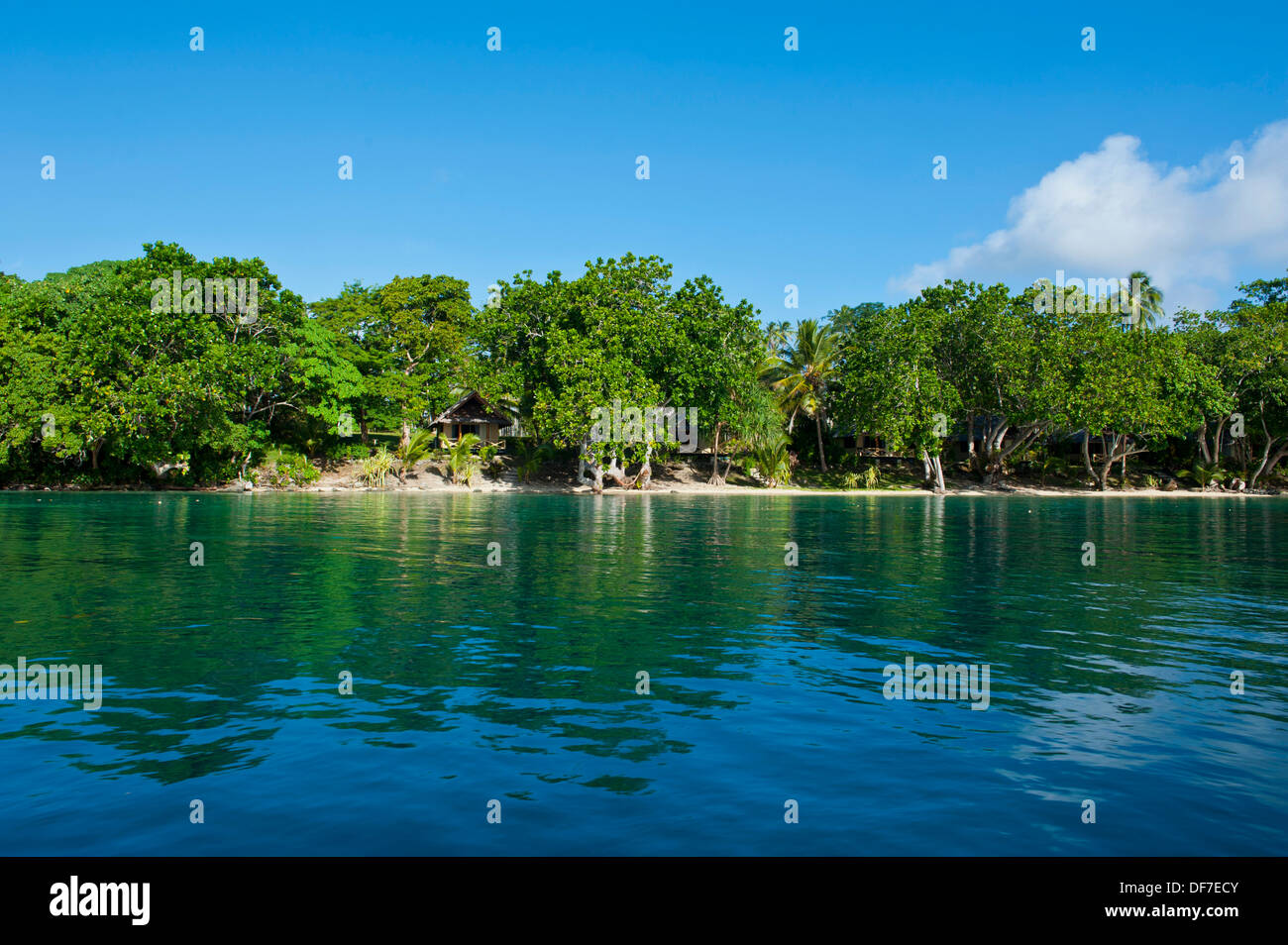 Beach, Aore Island, Sanma Province, Vanuatu Stock Photo