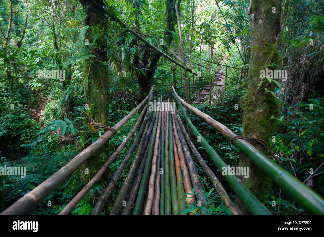 Bamboo bridge leading to the Millennium Cave, Espiritu Santo, Sanma Province, Vanuatu Stock Photo
