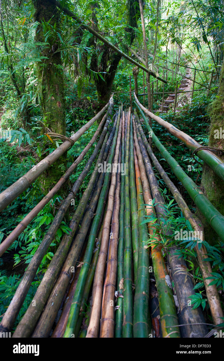 Bamboo bridge leading to the Millennium Cave, Espiritu Santo, Sanma Province, Vanuatu Stock Photo