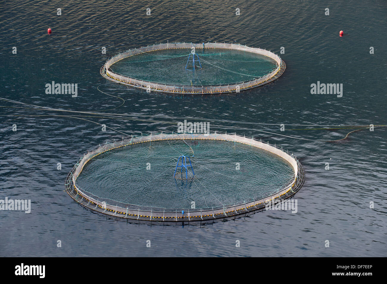 Fish farm, Borðoy, Norðoyar, Faroe Islands, Denmark Stock Photo