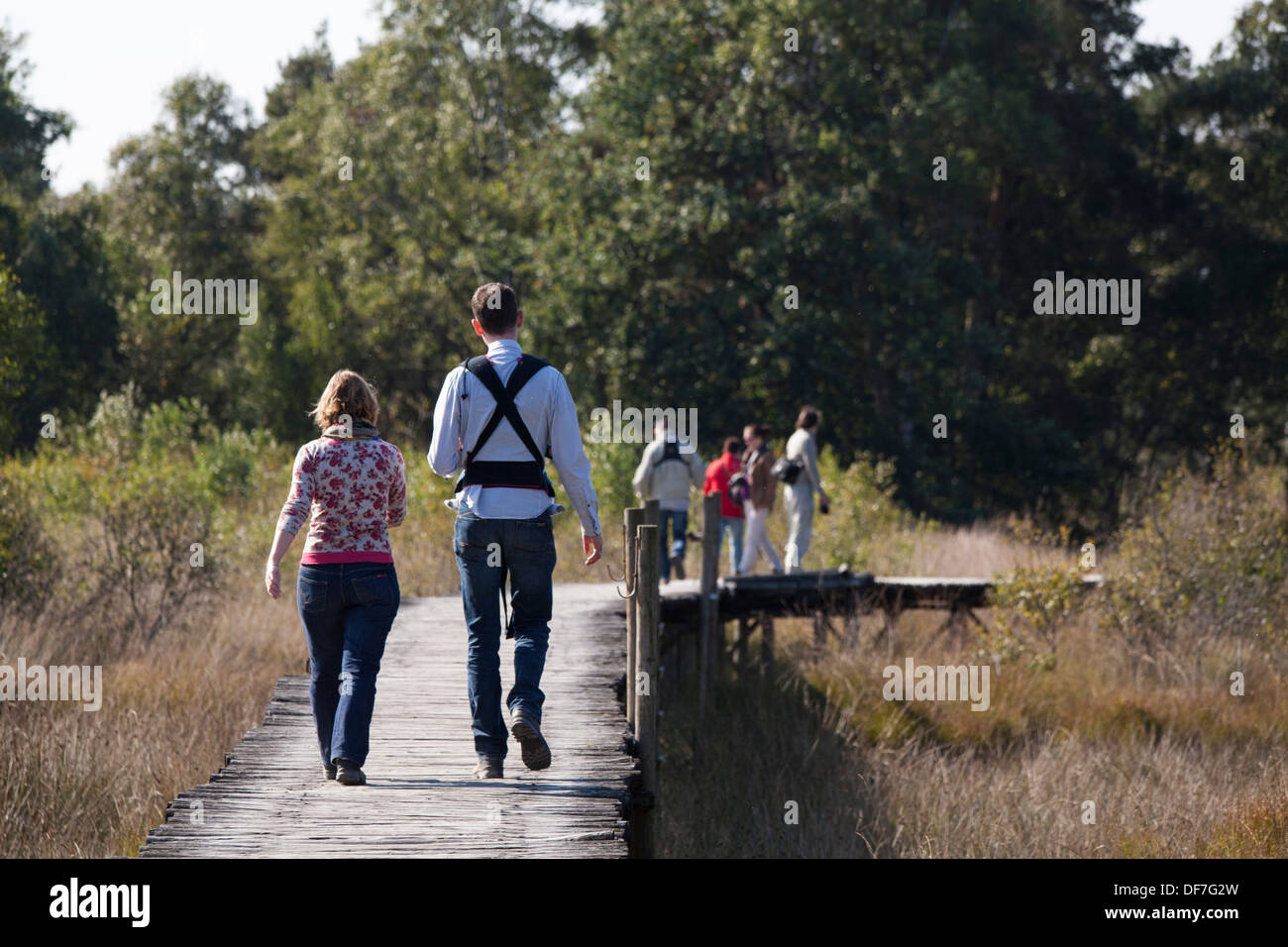 Tourists walking on one of the bat bridges through the moors at National Park 'de Groote Peel' Stock Photo