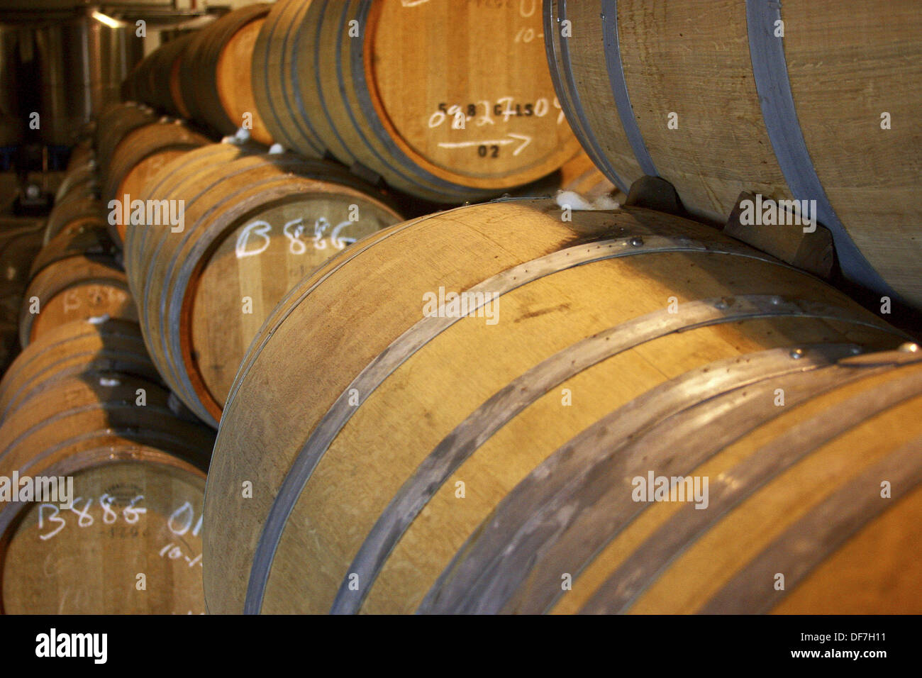 Wine barrels, Napa Valley, California, USA Stock Photo Alamy