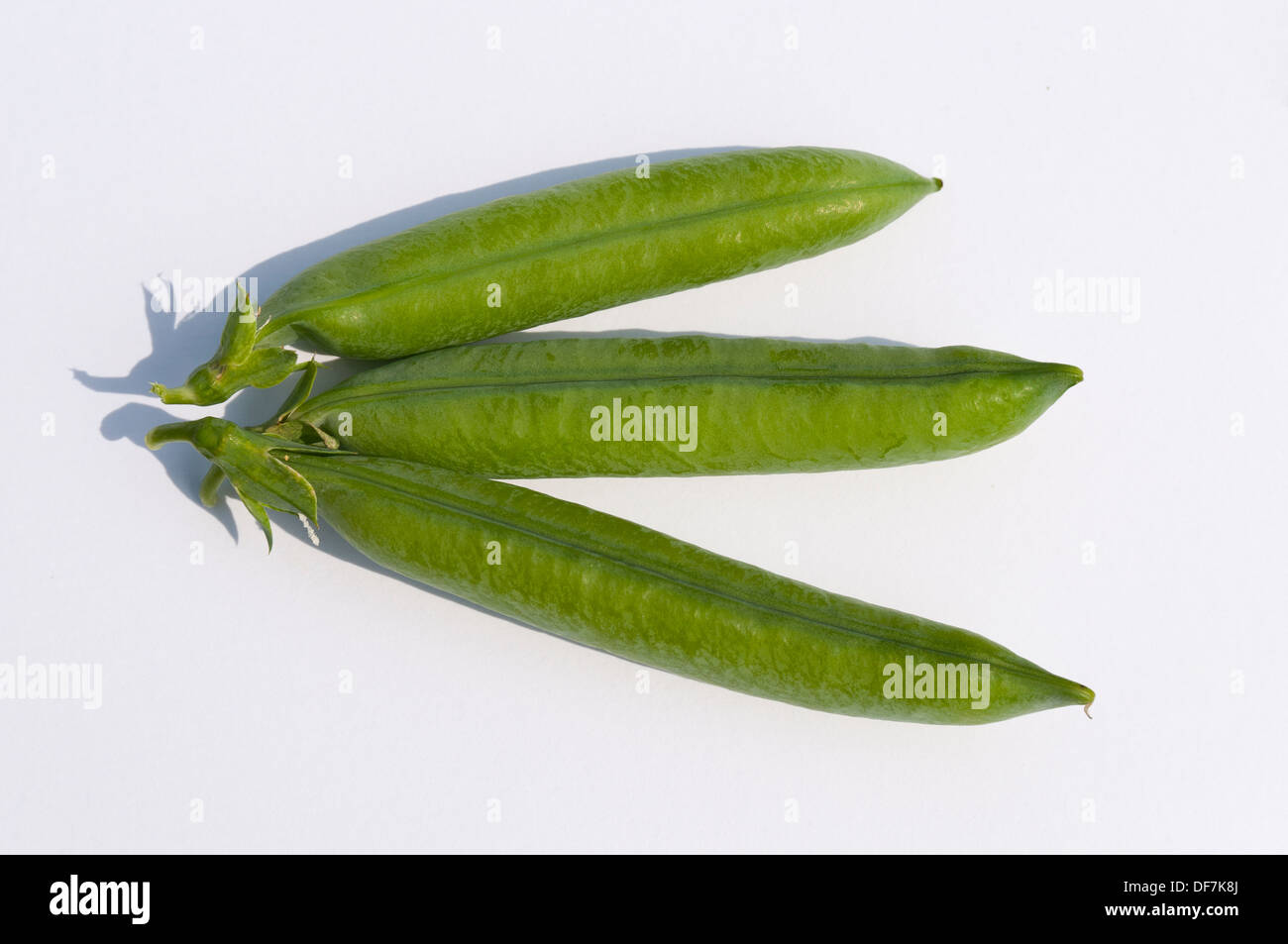 Garden Peas Stock Photo