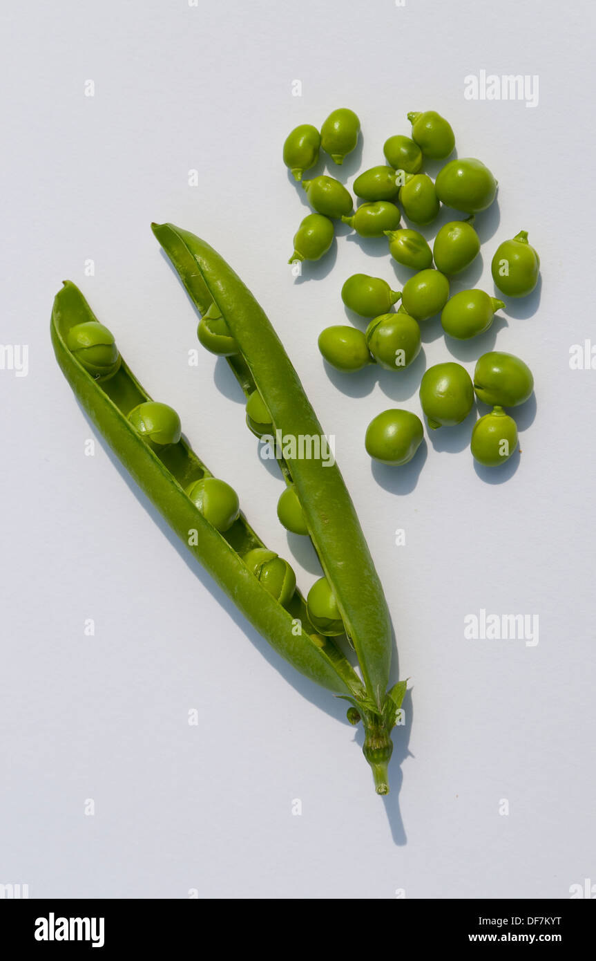 Garden Peas Stock Photo