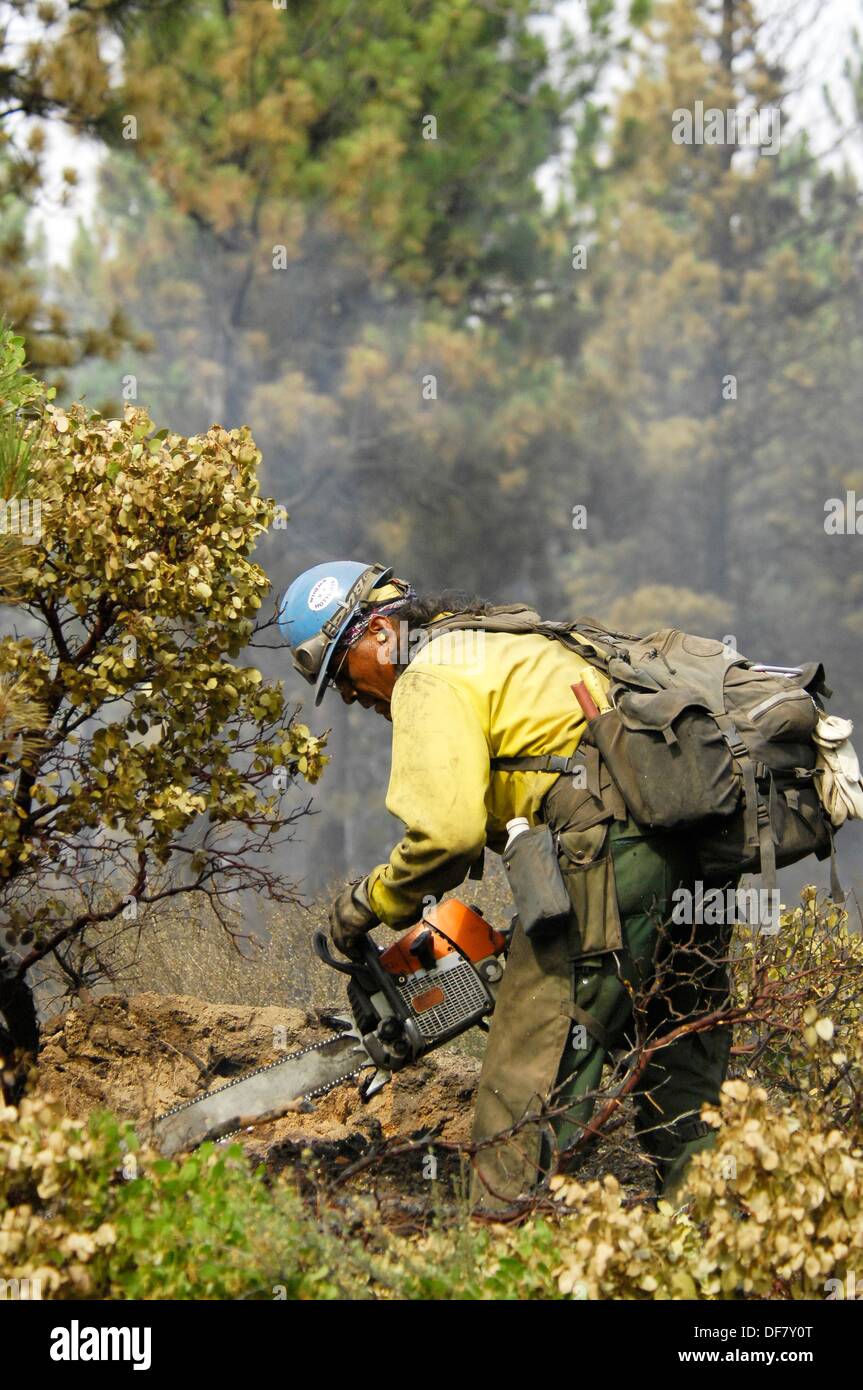 Wildland fire fighter with chainsaw Stock Photo Alamy