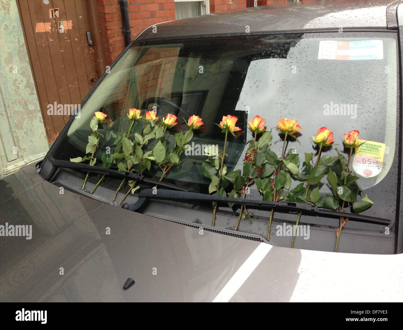 Aberystwyth, Wales, UK . 30th Sep, 2013. A row of 10 roses left by an anonymous person as a romantic gesture or a random act of kindness on the windscreen of a car parked on a street, Aberystwyth Wales UK Credit:  keith morris/Alamy Live News Stock Photo