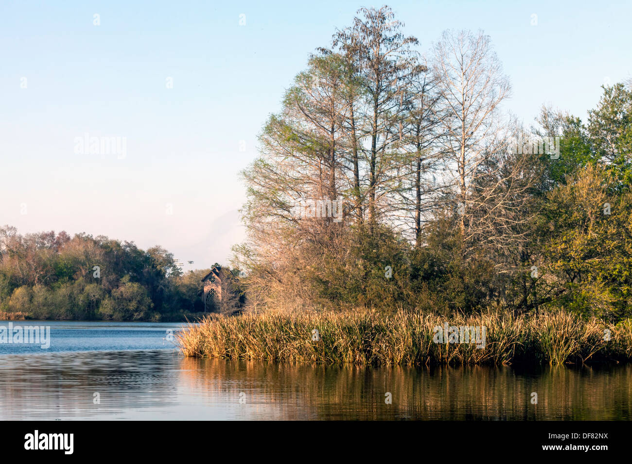 University of Florida's Lake Alice with the Baughman Center Chapel, a