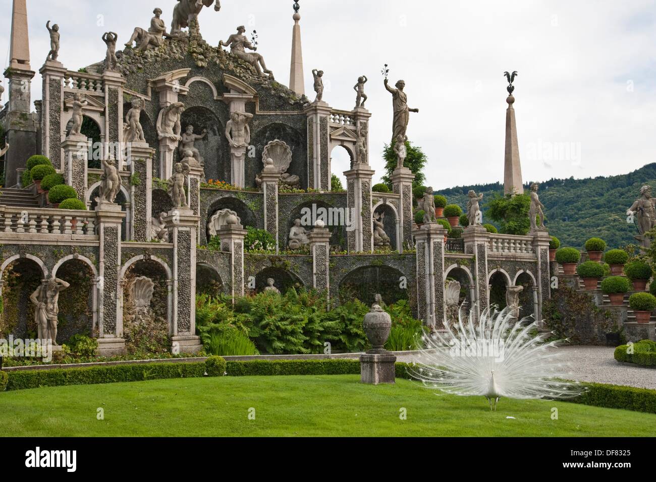 Peacock garden hi-res stock photography and images - Alamy