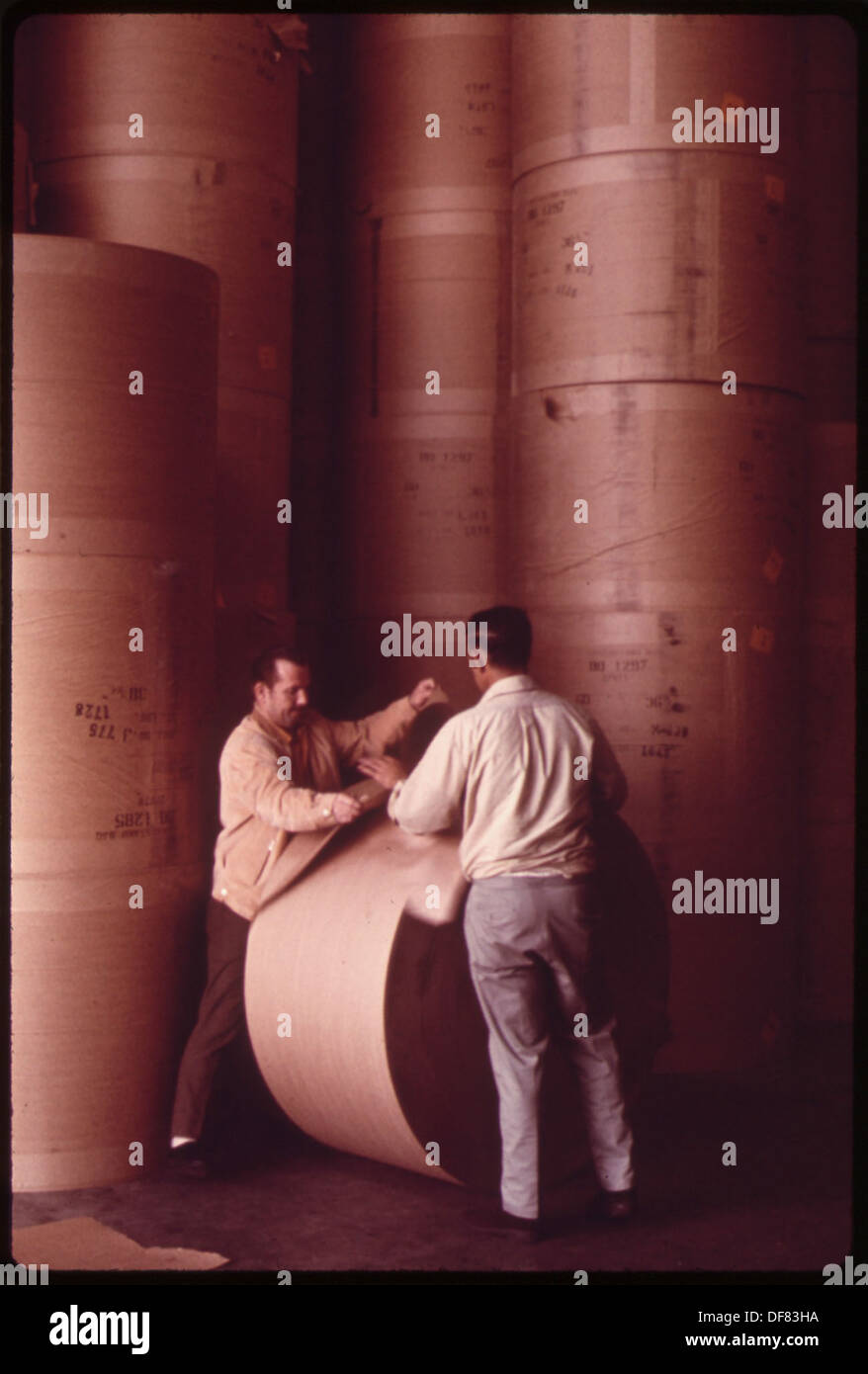 ROLLS OF FINISHED NEWSPRINT AT MACMILLANBLOEDEL, LTD., IN THE FRASHER