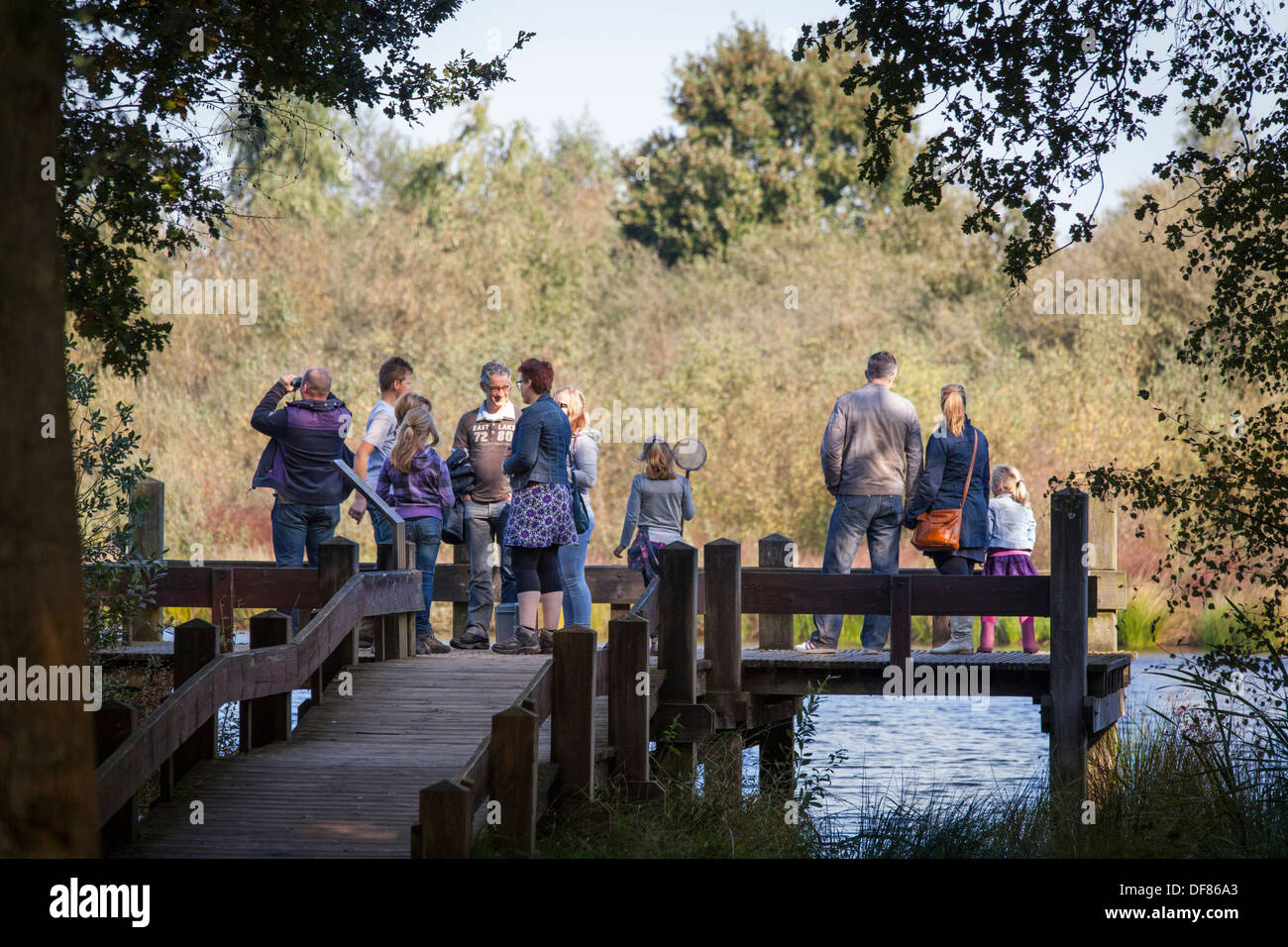 Tourists standing on a jetty in the moor at National Park 'de Groote Peel' in the Netherlands in autumn Stock Photo