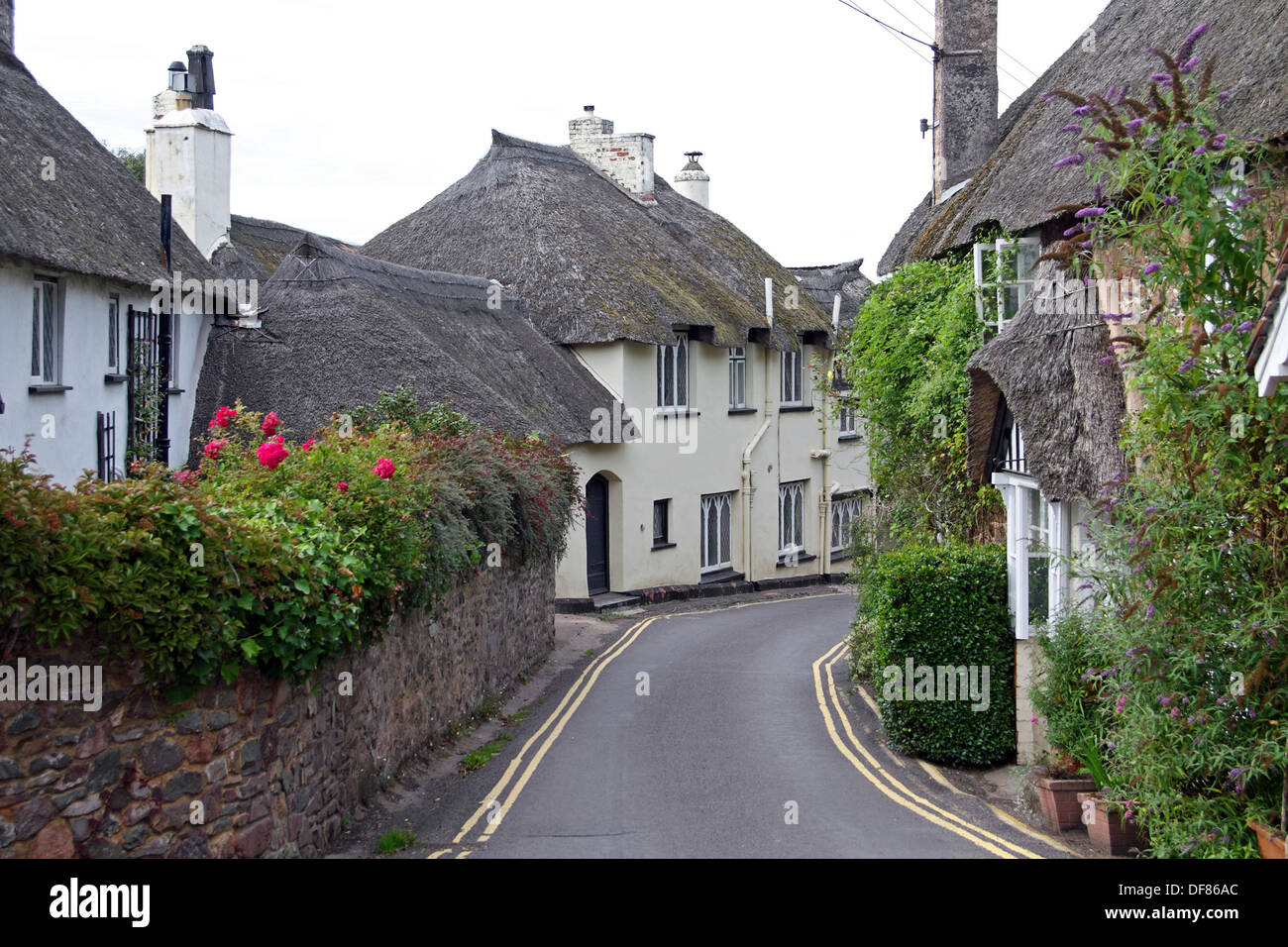Exmoor National Park Thatched Cottages In Porlock Somerset