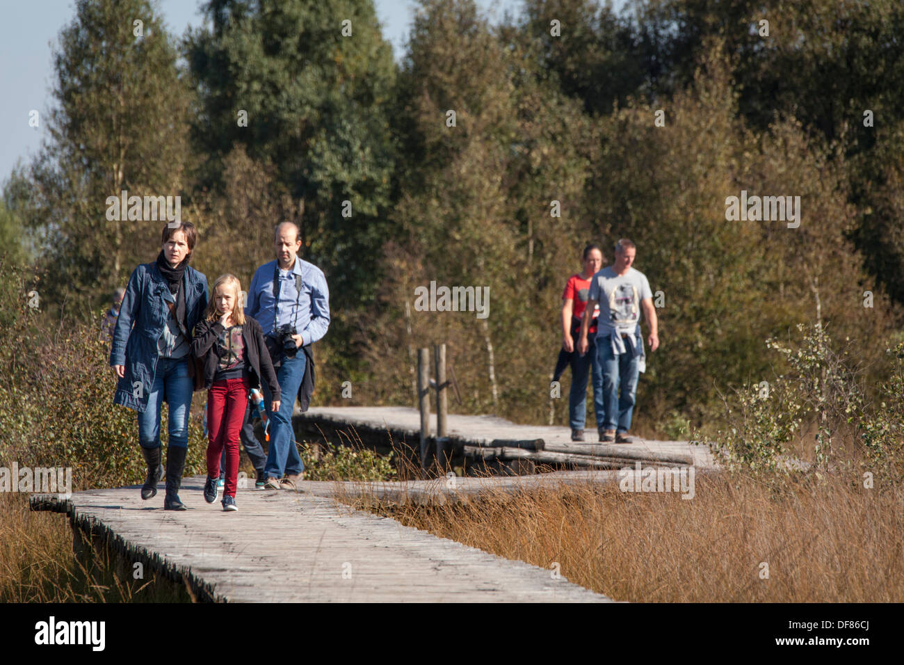 Tourists family walking on one of the bat bridges through the moors at National Park 'de Groote Peel' Stock Photo