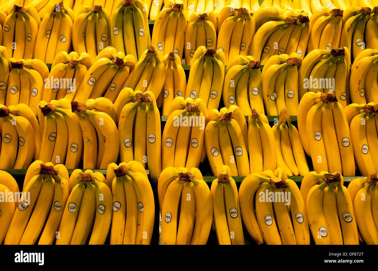 Bananas, Christchurch, New Zealand Stock Photo