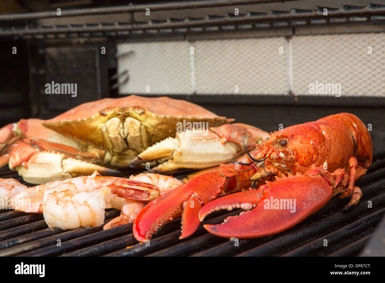 Barbecuing red Lobster, dungenees crab and jumbo Shrimps Stock Photo