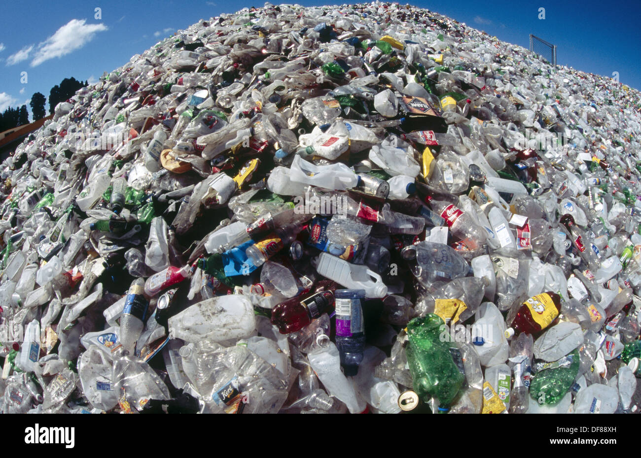 Plastic mountain. Plastic bottles collected for reciclying