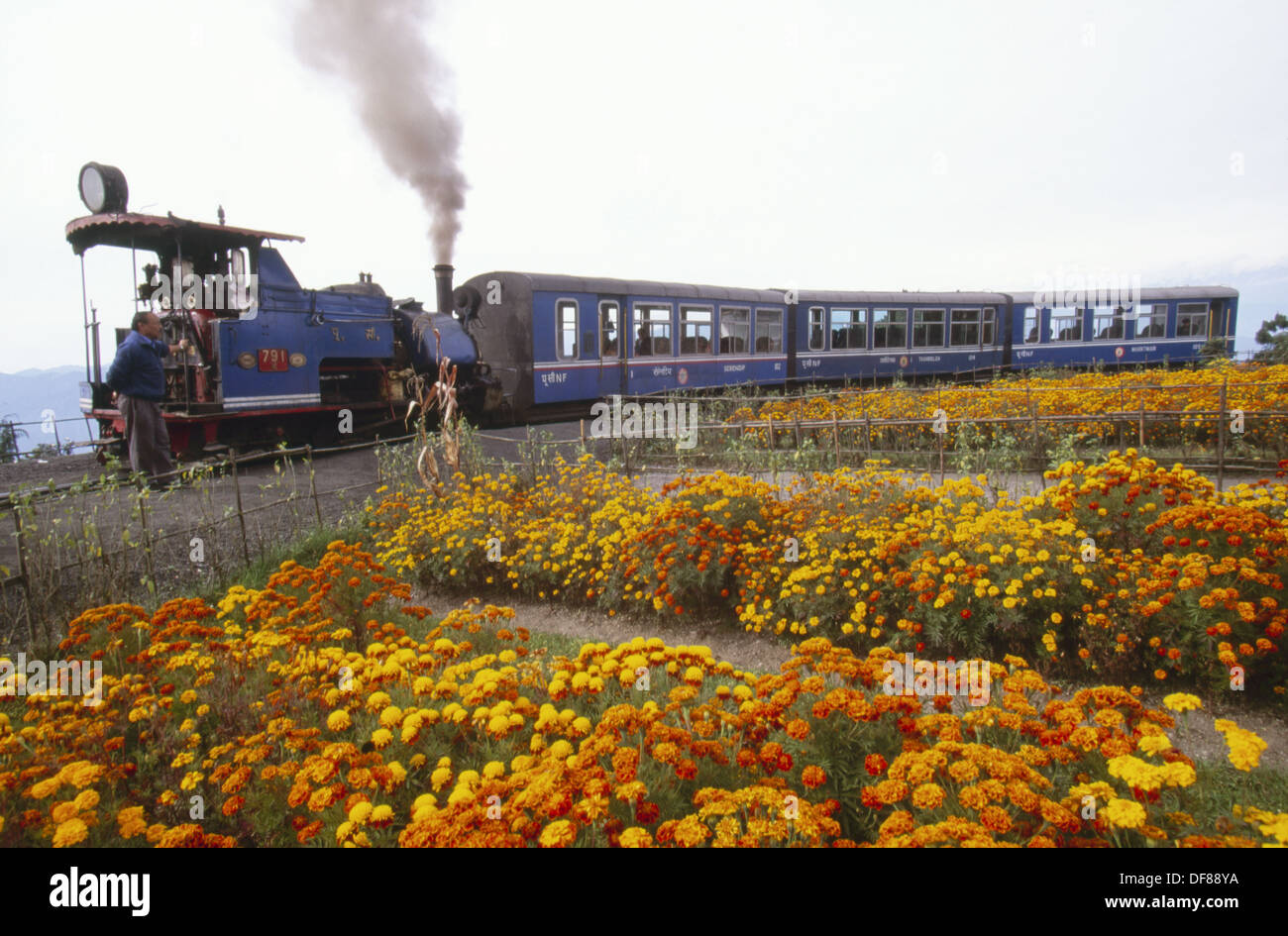 Toy Train runs from Darjeeling to Siliguri, Sikkim, India. Highest