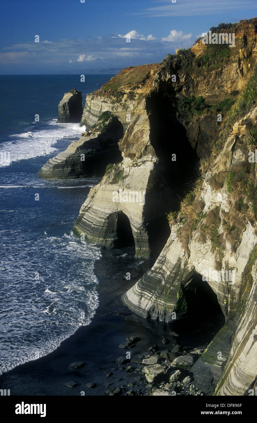 Wave sculpted sandstone cliffs near Whitecliffs Walkway tongaporutu north Taranaki New Zealand Stock Photo