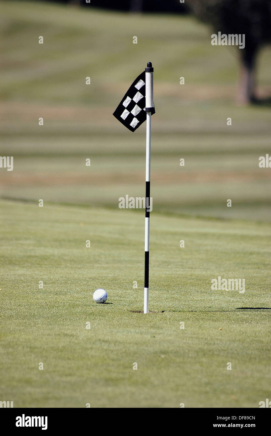 Golf ball and hole Stock Photo Alamy