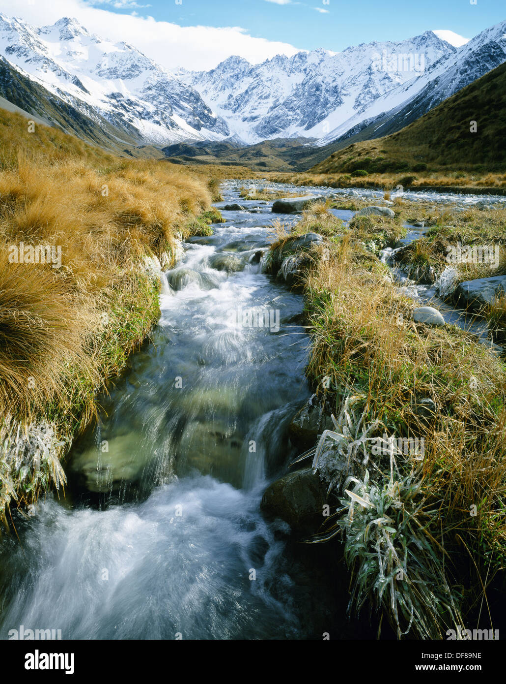 Cameron River and Arrowsmith Range central Southern Alps New Zealand Stock Photo