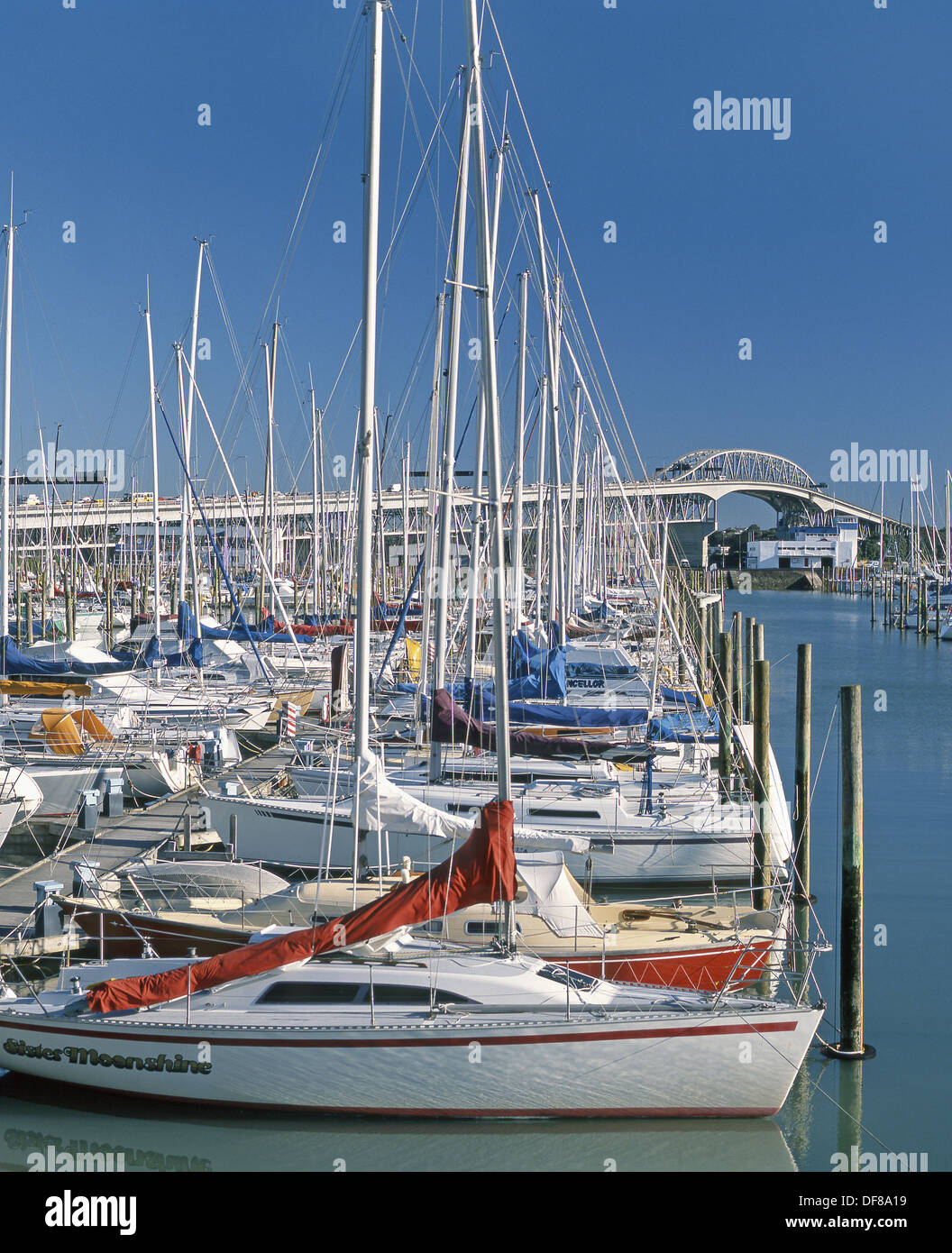 Yachts in Westhaven marina Harbour Bridge beyond Auckland New Zealand Stock Photo