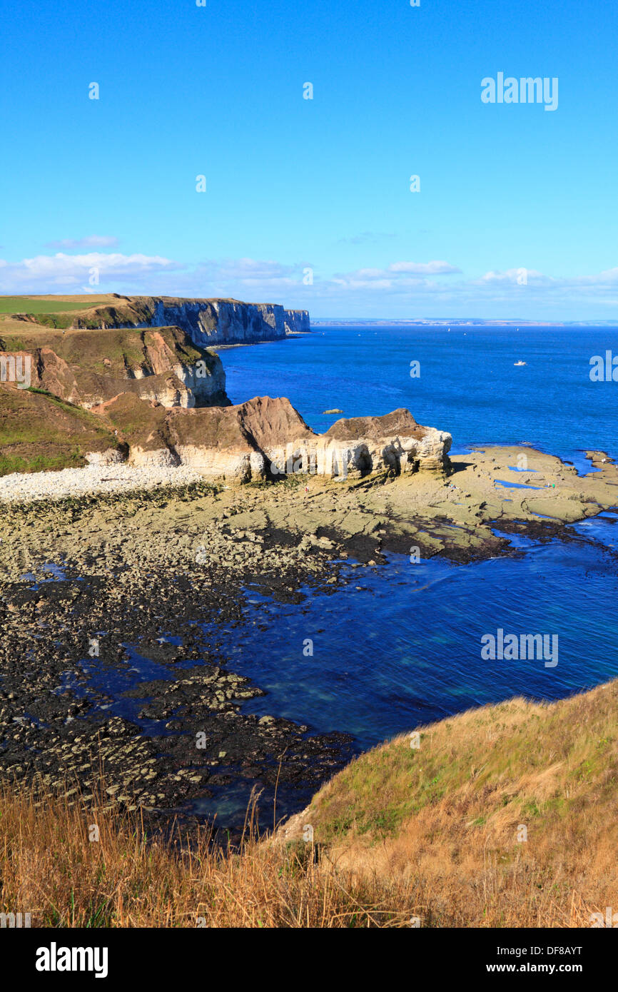 Thornwick Bay and distant Bempton Cliffs, Flamborough Head, East