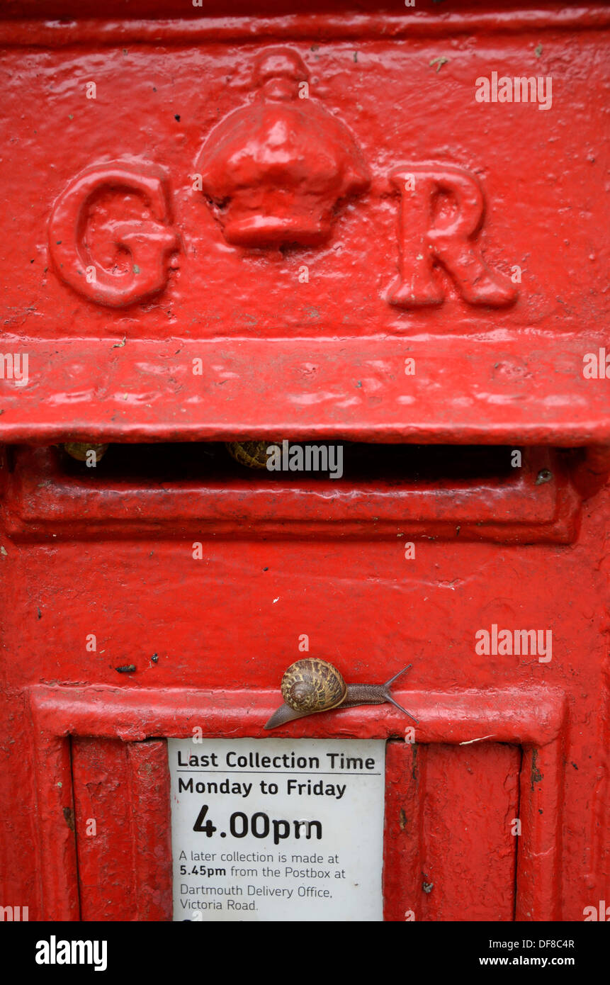A snail crawls across a postbox in rural Devon Stock Photo