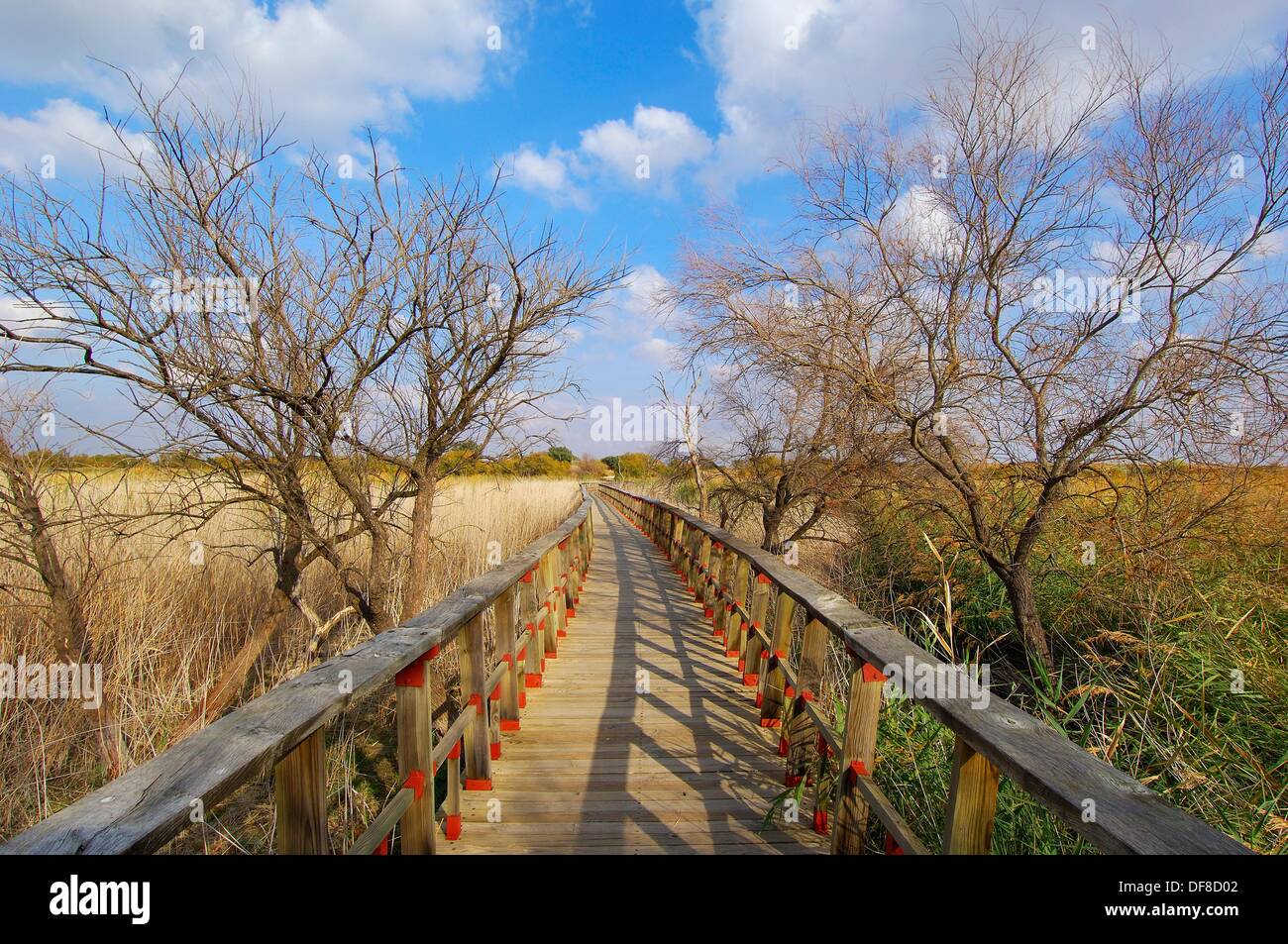 Daimiel, Tablas de Daimiel National Park, Ciudad Real province
