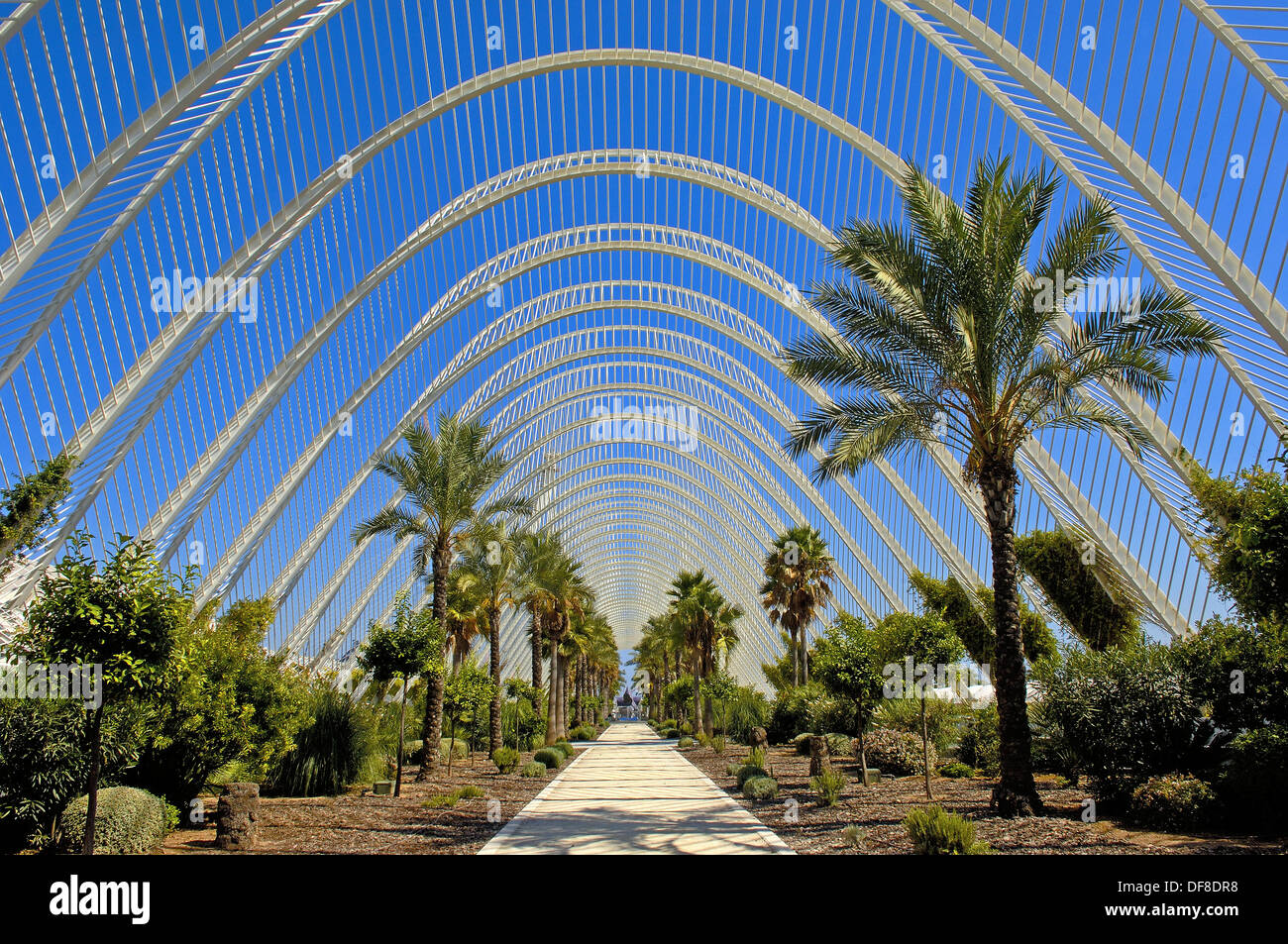 Umbracle Umbracle L High Resolution Stock Photography and Images - Alamy