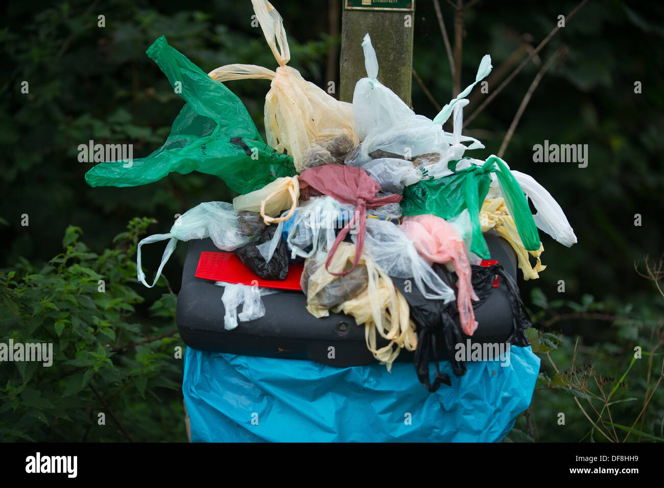 Dog waste bin overflowing with poo bags, eerily resembling a Damien