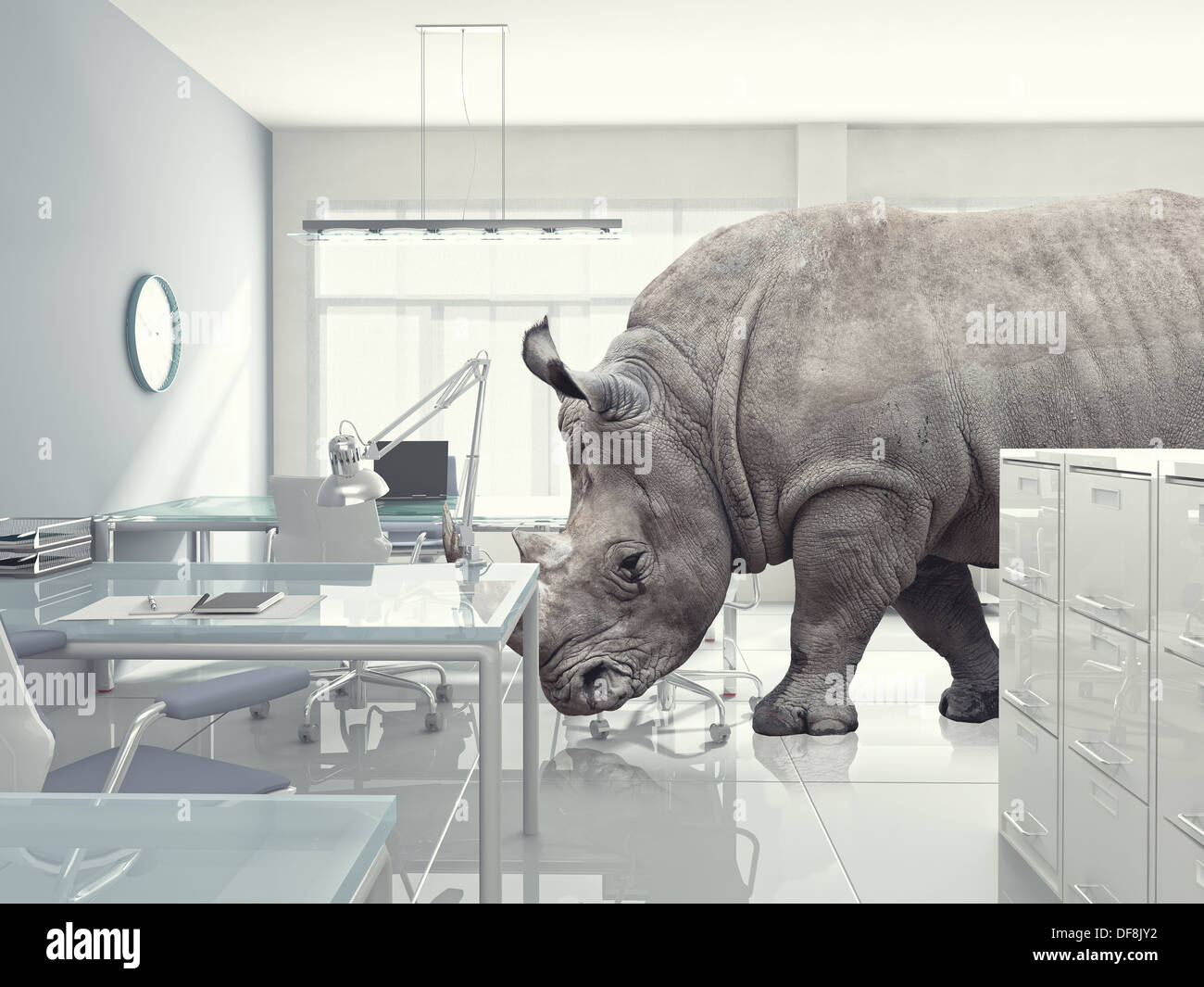 3d modern office and rhino Stock Photo Alamy