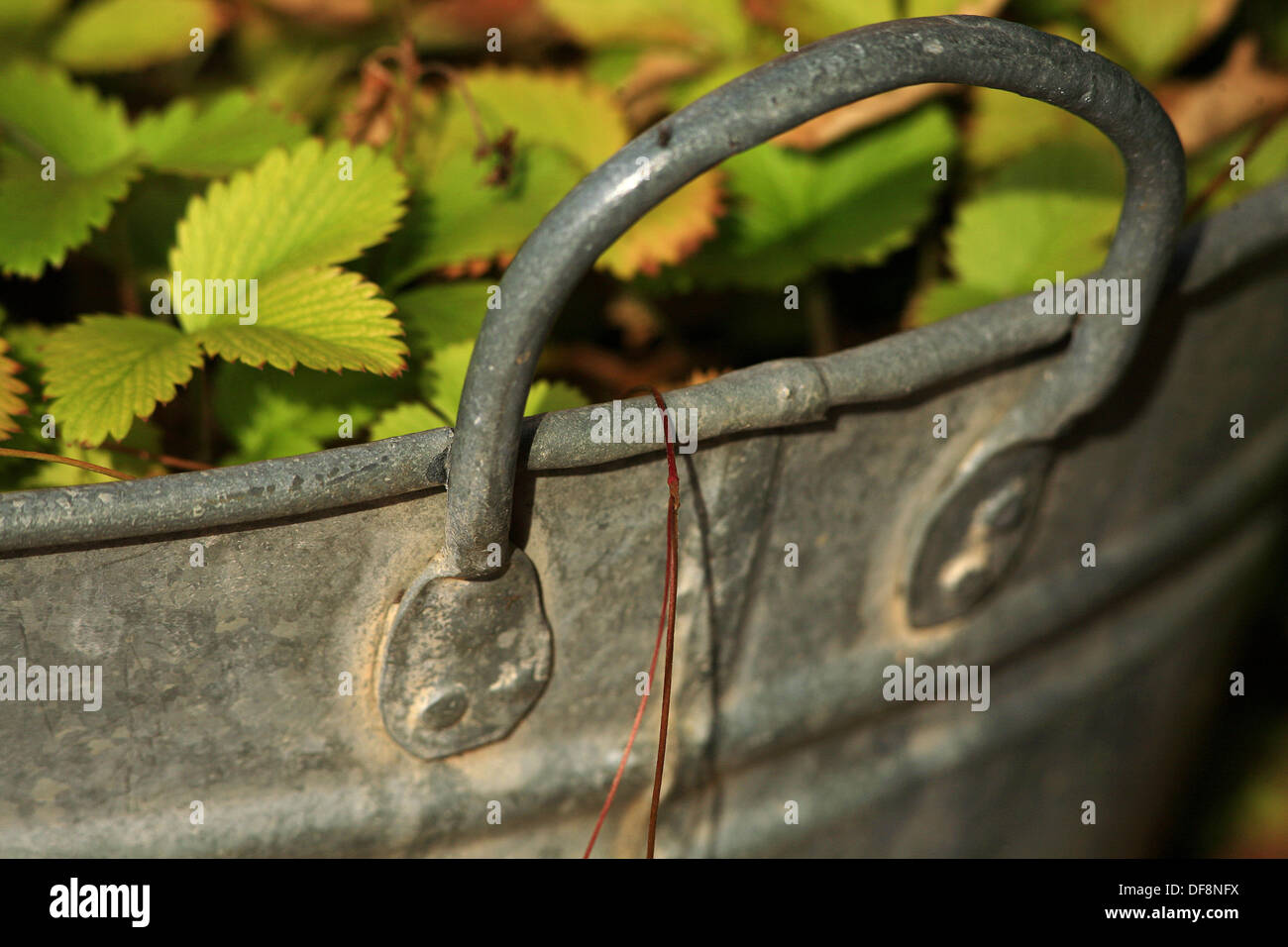 pot metal handle Stock Photo Alamy