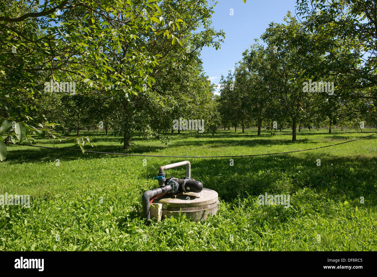 Irrigation and fertigation pump for walnut trees in a walnut orchard at Sainte-Foy-la-Grande, France Stock Photo
