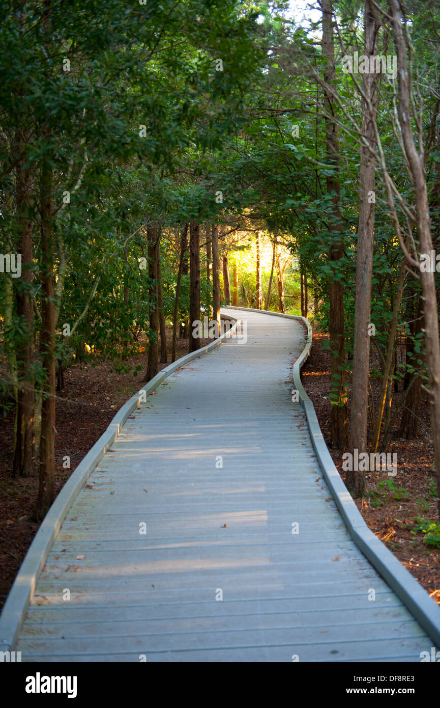 USA New Jersey NJ N.J. Cape May a wooden path to nature trail for wildlife bird watching near the lighthouse Stock Photo
