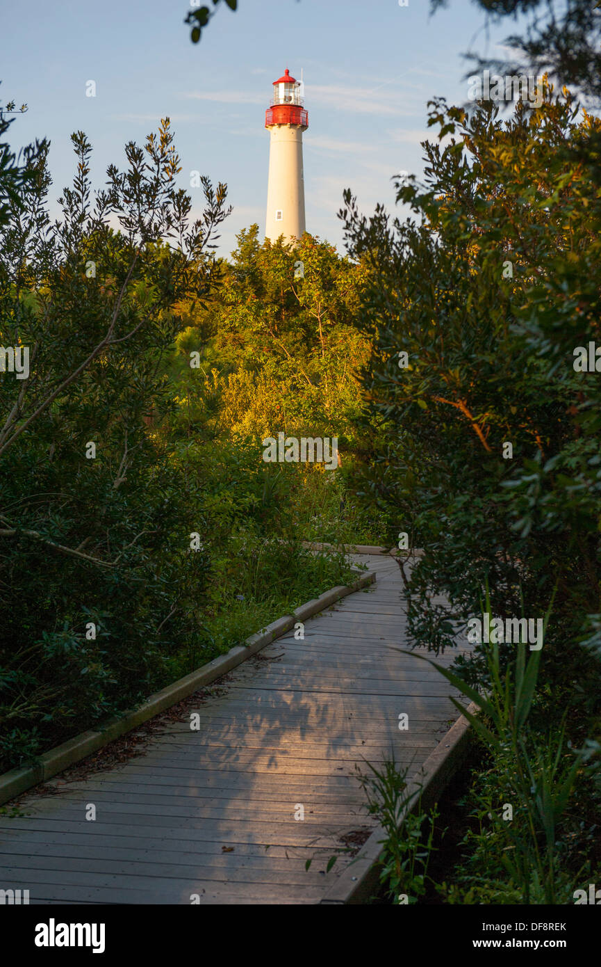 USA New Jersey NJ N.J.  Cape May Point State Park - Lighthouse Stock Photo
