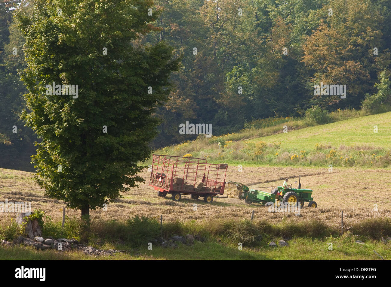 A farmer uses a tractor and a kick baler in a farm in Madison County, NY Stock Photo