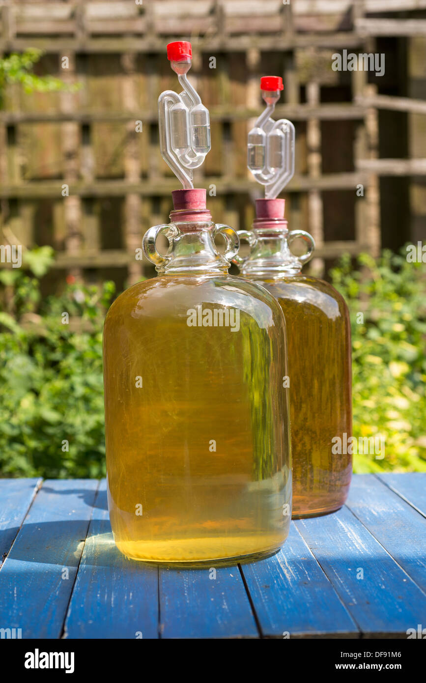 Demi john country wine dandelion wine hires stock photography and
