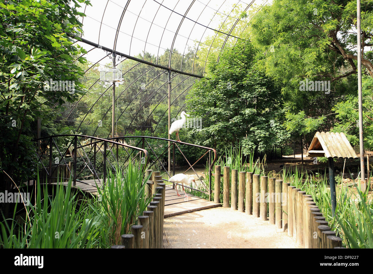 Paris, garden plants, the big aviary Stock Photo - Alamy