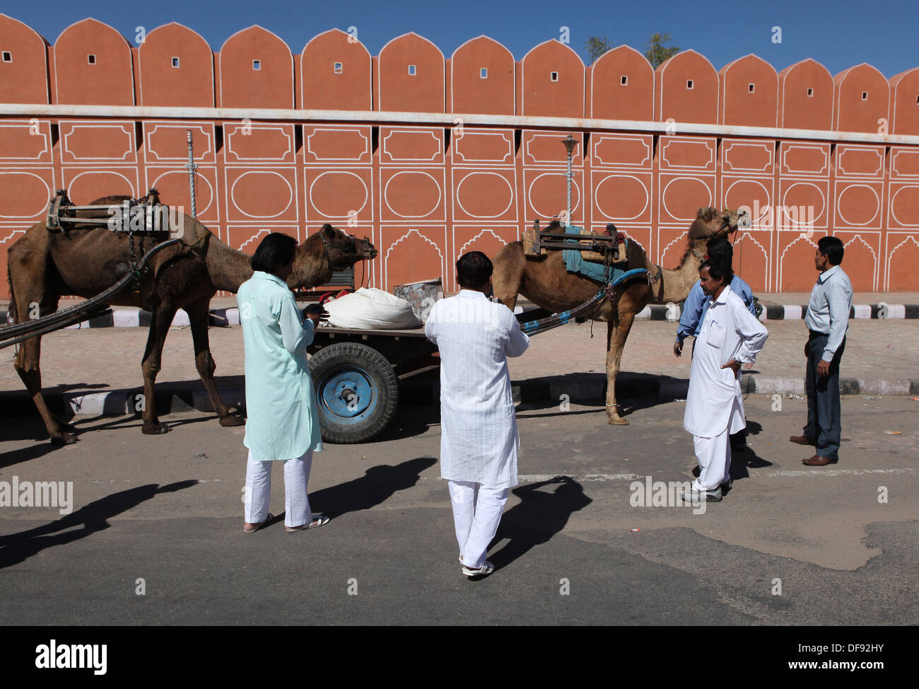 Men and their camels in Jaipur,Rajasthan,India,Asia. Stock Photo