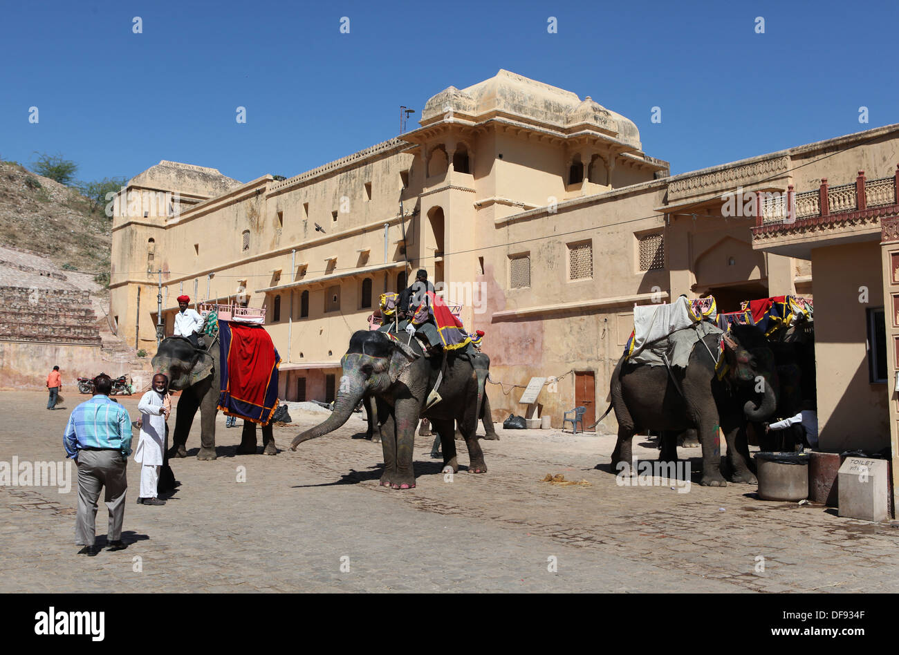 Riding elephants at Amber Fort  near Jaipur, Rajasthan,India, Asia Stock Photo