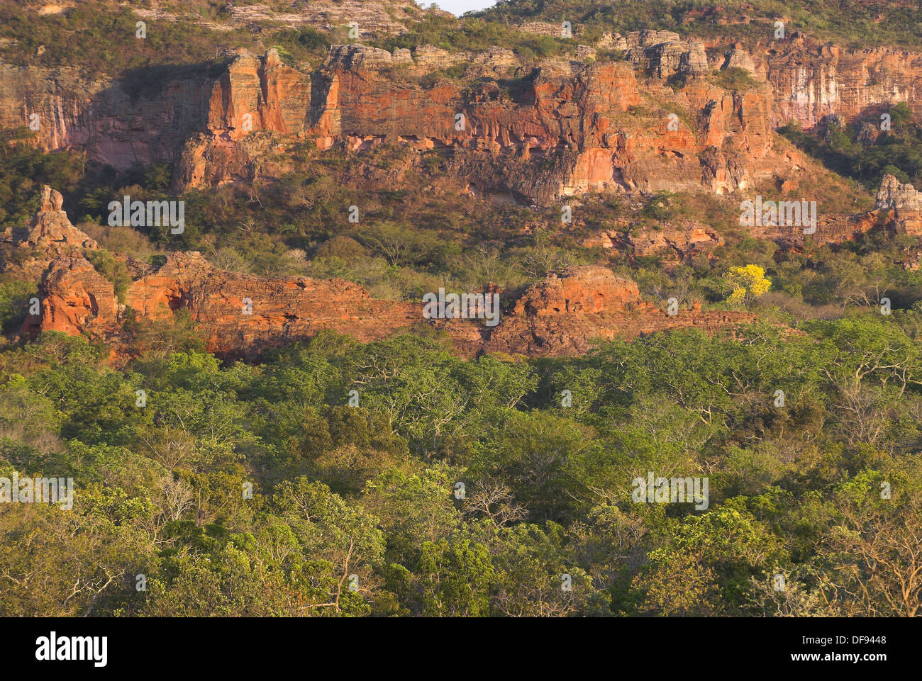 Red sandstone cliffs, Cerrado tropical savanna ecoregion, Piauí, Brazil ...