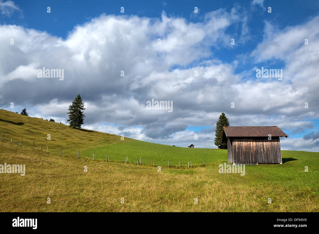 wooden hut on green alpine meadow, Bavarian Alps Stock Photo