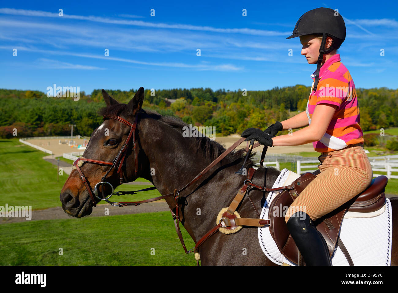 Equestrian training ring hires stock photography and images Alamy