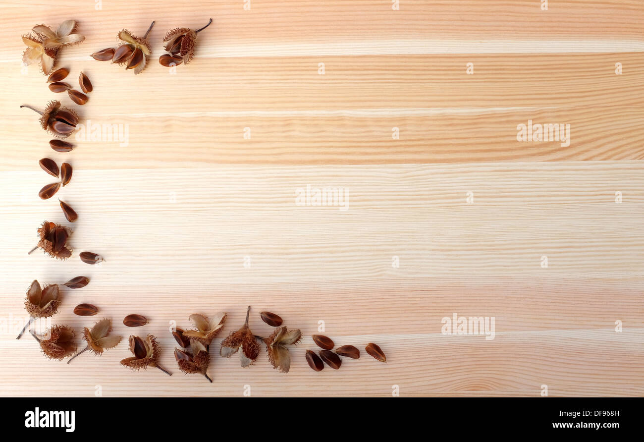 Beech nuts and empty nut shells form a half border on woodgrain background with copy space Stock Photo