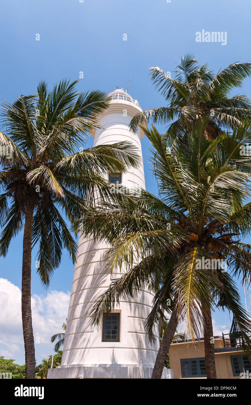 Lighthouse in Galle among the palms, Sri Lanka Stock Photo
