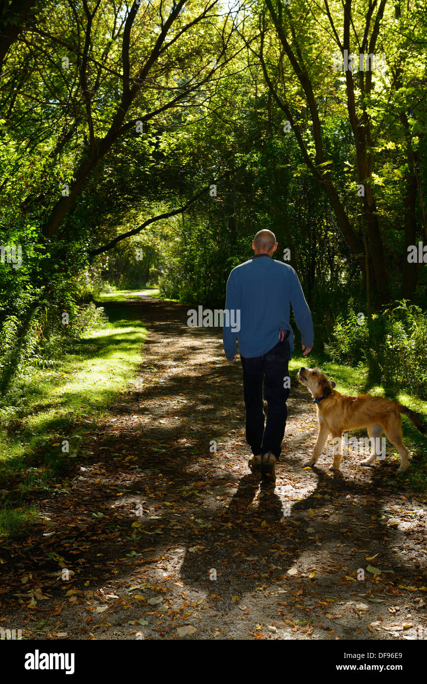 Man walking with his puppy off leash on a path in a green Park forest of Toronto Stock Photo