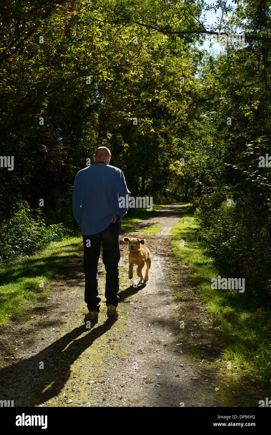 Puppy running to male pet owner on a sunny morning forest path in Toronto Park Stock Photo