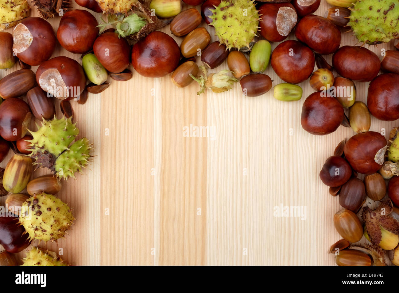 Threesided border of natural autumn material acorns, conkers Stock