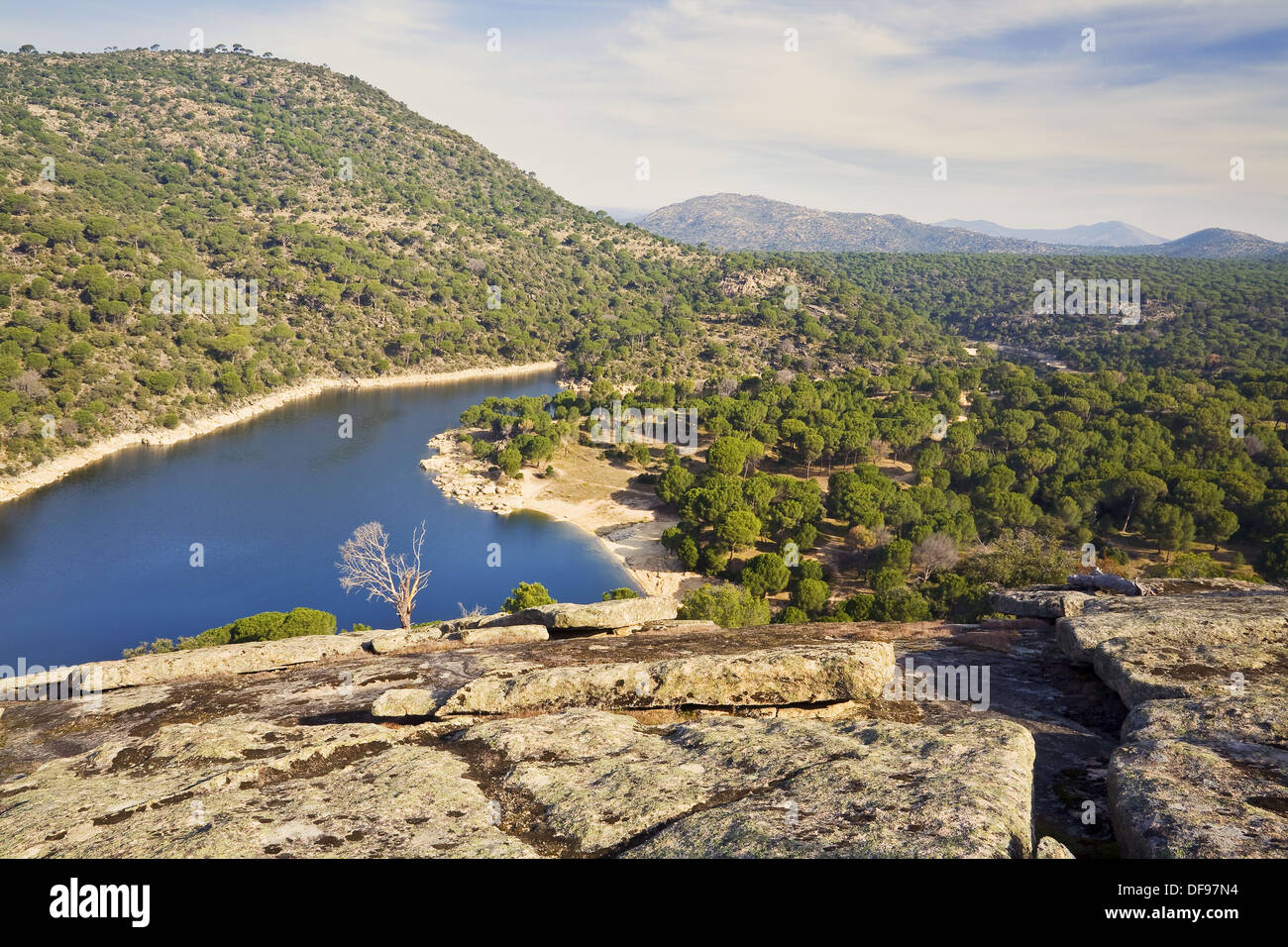 Pantano hi-res stock photography and images - Page 2 - Alamy