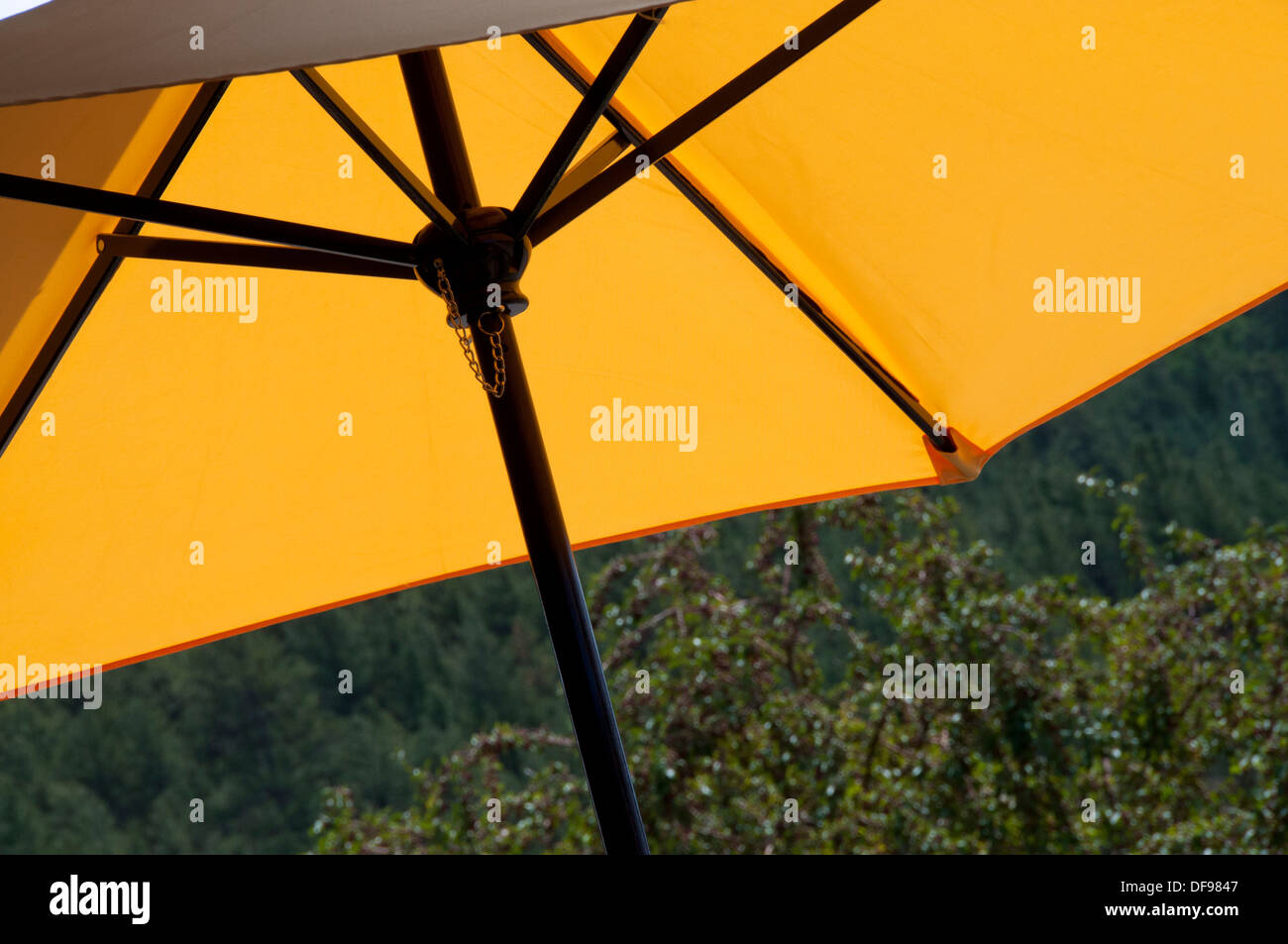 umbrella backlit Stock Photo