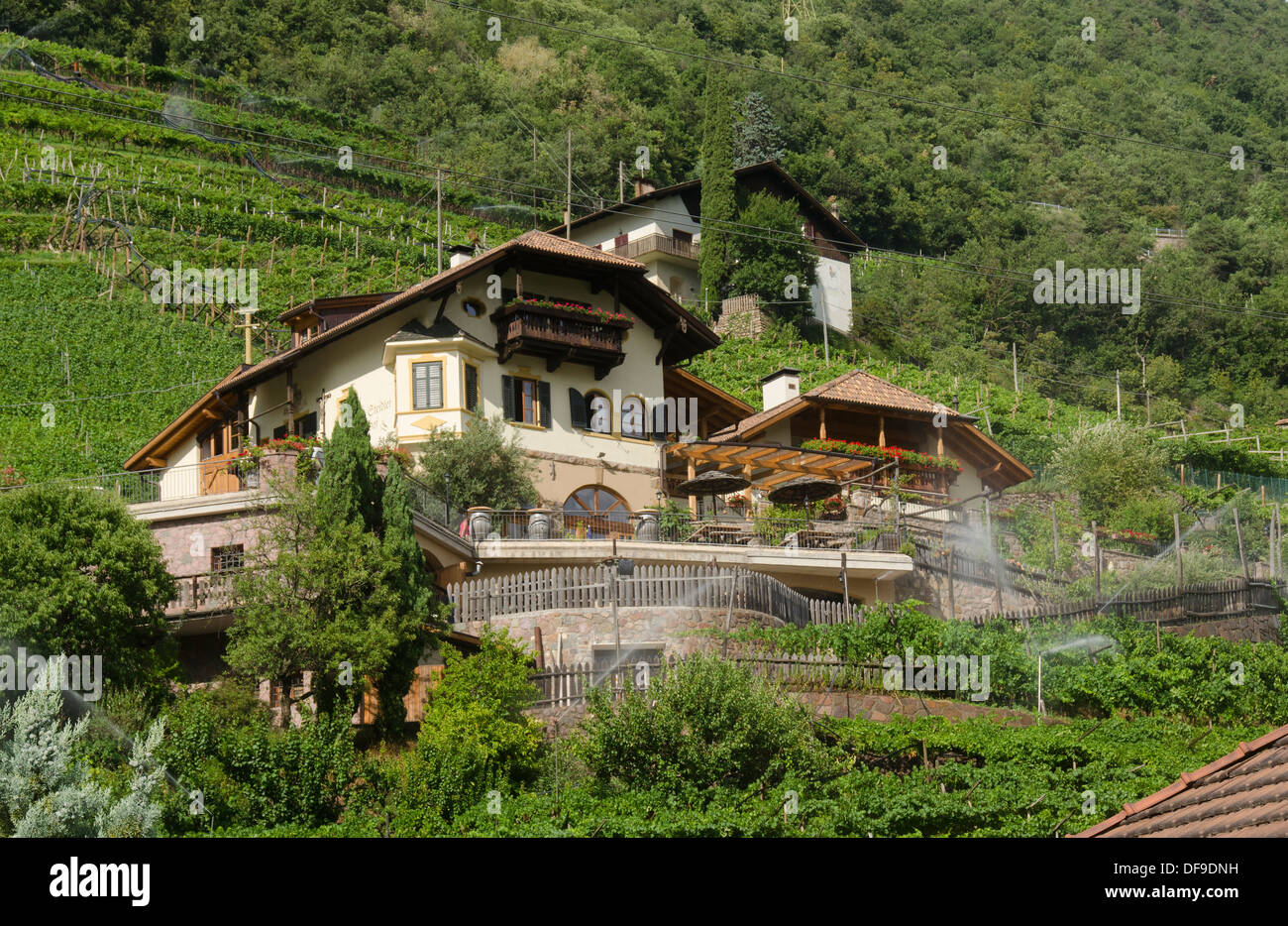 Wine Grower and guesthouse; Bolzano, South Tyrol, Italy, Europe Stock